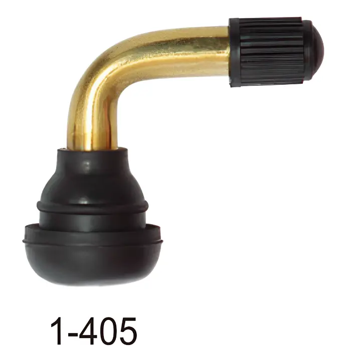 Van lốp xe không săm cho xe máy (cong - đầu chụp nhựa)